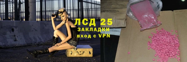 сатива Магас