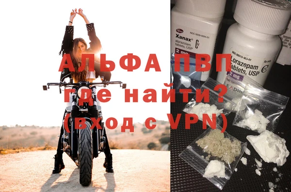 альфа пвп Медвежьегорск