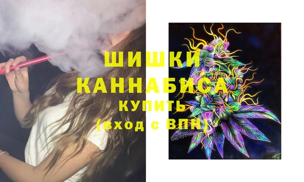 альфа пвп Медвежьегорск